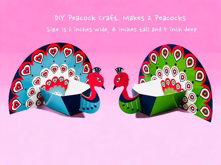 DIY Peacock Craft Kit